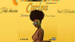 Ish Kevin - Carina ( Official Audio )