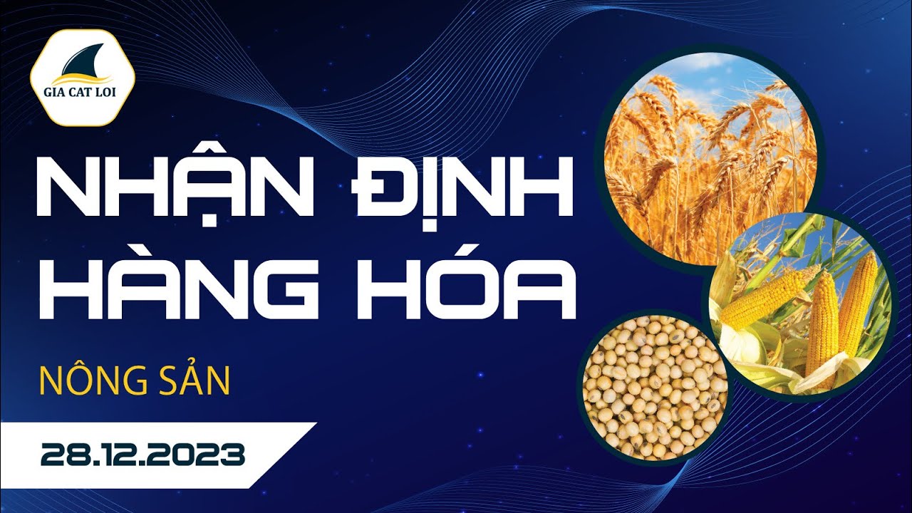 Nhận Định Hàng Hoá Nông Sản Ngày 28/12/2023