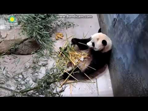 2017.05.14 HAPPY MOTHER'S DAY MOM!!