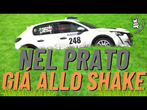 WHAT A JOLLY IN THE SHAKE! - 6th Rally Salsomaggiore Terme Peugeot 208 Rally4 Vlog Part 1