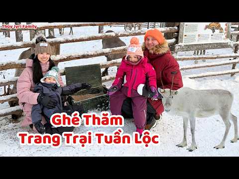 Ghé Thăm Trang Trại Tuần Lộc Ở Phần Lan Cùng Gia Đình Chồng - Thúy Jyri Family Phần Lan