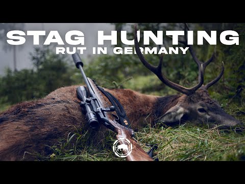 Redstag hunting | Trailer Hirschbrunft in Thüringen