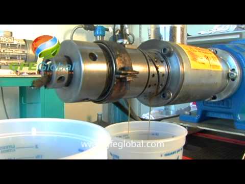 Canola Seed Oil Press Extraction Test for Production of Biodiesel and Biofuel