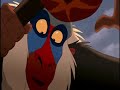 The Lion King The Wild Thornberrys Theme Song