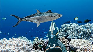 Download lagu Menantang Badai Untuk Taklukkan Monster Laut Di Pulau Angker mp3 Download lagu Menantang Badai Untuk Taklukkan Monster Laut Di Pulau Angker mp3