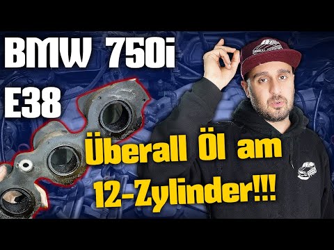 BMW 750i E38 M73 12-Zylinder | BMWFarid