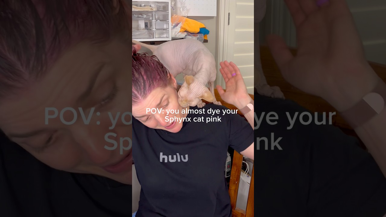 The trouble with having an affectionate hairless cat