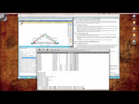 Fall 2014 - CSI257-8xx (Week #2 - 09012014) - Packet Tracer 3.2.1.3 Tutorial