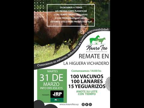 31/3/2026 Local La Higuera - Vichadero - Rivera - Feria Mensual - Mauro Feo | Clic Rural