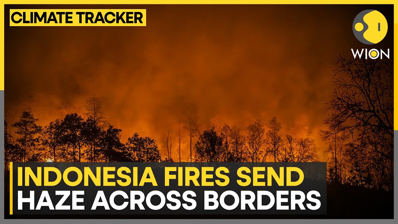 Indonesian Groups Sue Govt Over Wildfires As Haze Crosses Borders, Nearly 900,000 Hectares Burned