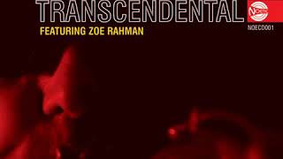 Larry "Stonephace" Stabbins - Soul Train