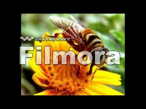 ZE MARCOS E ADRIANO 2016 JESUS E EU NA VOZ DE NELIO SANTOS