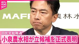 【自民党総裁選】小泉農水相・林官房長官が立候補を正式表明  小林元経済安保相“定率減税”約2年のイメージ