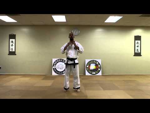 Taekwondo Forms: Chon-Ji