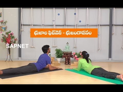 Yoga Fitness | Benefits Of Bhujangasana Yoga | EP 58