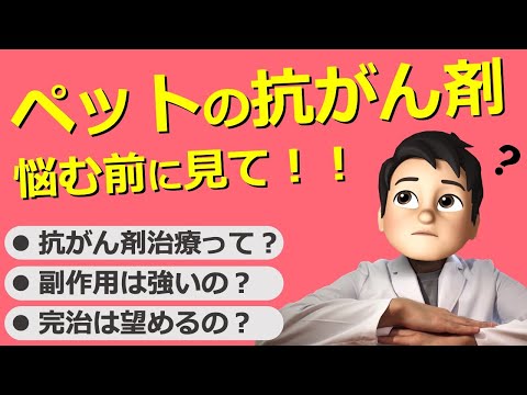 犬の化学療法 - 副作用と薬剤