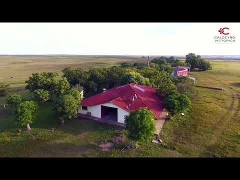 Video de YouTube - Campo en venta en Salto ref. 8771