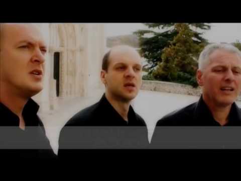 Cisko lito 2016 - najava