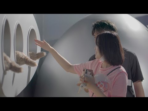 How Chinese Young Urbanites Relax after Work: Cuddle a Robot Or Raise a Jellyfish