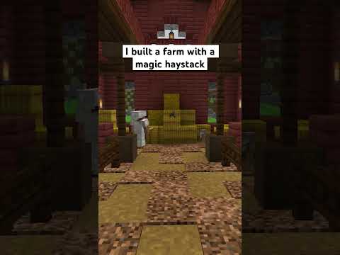 "Magic Haystack in Minecraft!? You Won't Believe Your Eyes!" #SoupSoup #LetsPlay