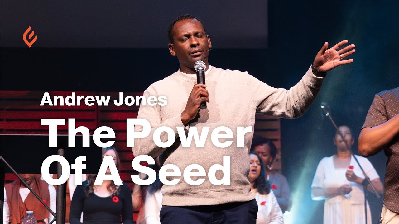 The Power Of A Seed