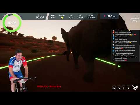 273. ÉLŐ Online SPINNING edzés Tibivel - Intelligent Cycling