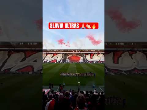 🔥 Epic Slavia Prague Ultras Choreography| 2 Scenes in 1 Tifo Show! Unbelievable Stadium Atmosphere