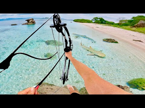Solo Survival - Compound Bow Hunting SEAFOOD & SHARK Challenge