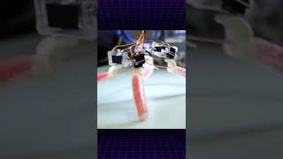 Soft Robotics Engineers Building the Future of Flexible Robots 🤖