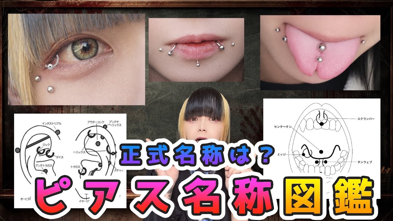 【授業】全身のいろんなピアスの名称図鑑！