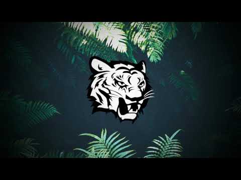 DEVIN DALE - WILD (ORIGINAL MIX)