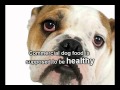 Before You Buy Buffalo Blue Dog Food - Watch This ...