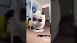 Panda status video