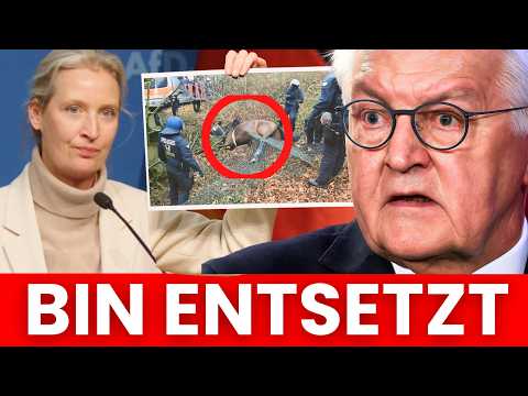 Plötzlich zeigt AFD Foto von GIEßEN ESKALATION! - ALICE WEIDEL WIRD EMOTIONAL AUF GIEßEN PARTEITAG!