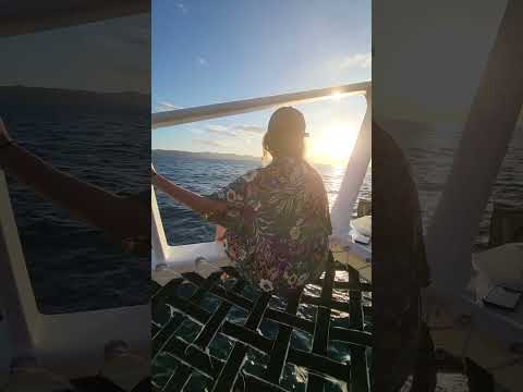 Dear Kim, Love Annie