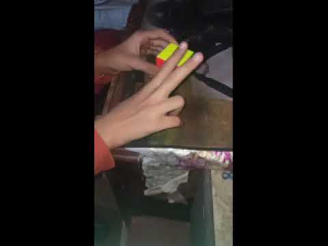 Level A1 Video 1