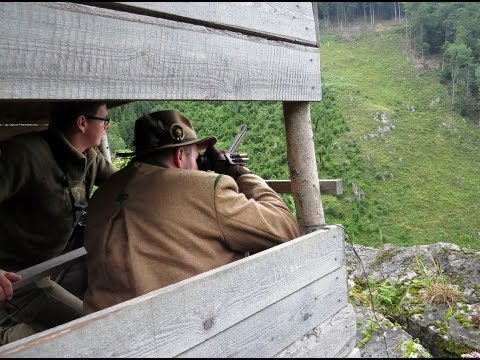Rehwildexperte beim Blatten 2014