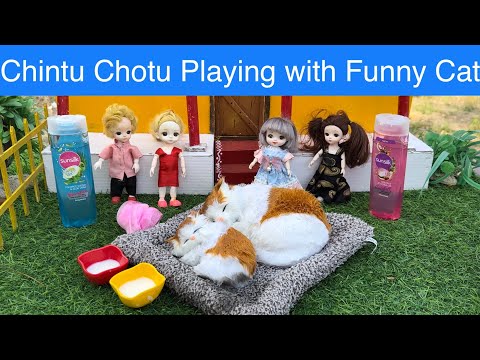 Chintu Chotu Playing with Funny Cat