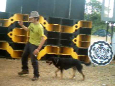 Multison 29 - Epsylonn / Otoktone - 27/06/2010