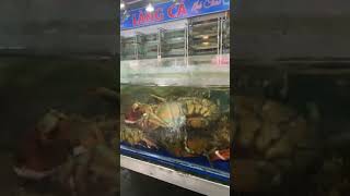 Danang Seafood 😍#food #travel #shorts #short #shortvideo #dulich #vietnam