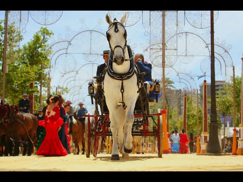Agosto en la tierra de los caballos y el Fino: Jerez de la Frontera