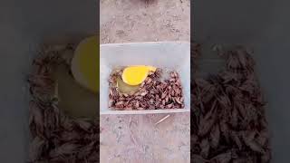 Download lagu racikan umpan super di galatama #shorts #umpan #jangkrik  #mancing #galatama #mancingmania #super mp3 Download lagu racikan umpan super di galatama #shorts #umpan #jangkrik  #mancing #galatama #mancingmania #super mp3