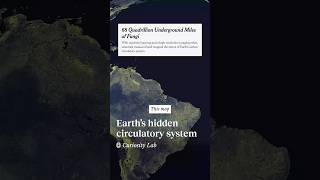 This map shows a hidden underground circulatory system | Marvin Liyanage @marvinliyanage