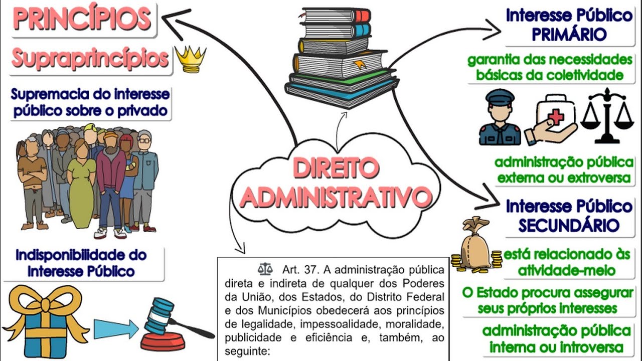 Direito ADMINISTRATIVO: Conceito, Fontes e Princípios║Resumo Animado