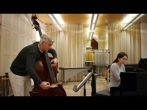 MORRICONE Cinema Paradiso | Božo Paradžik (double bass) Liliya Mitronina (piano)