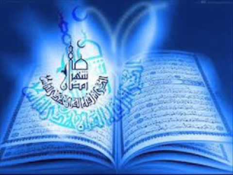 the book of allah is my constitution nightcore