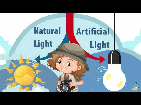 Light Source: Natural vs Artificial Light Source