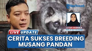Omzet Puluhan Juta! Pria Asal Kediri Sukses Menjadi Peternak Musang Pandan