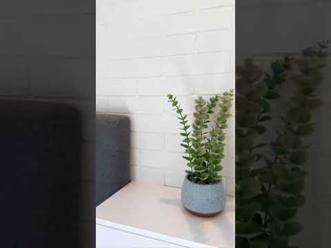 фото советская ул, 15, гродно, гродненская область, 2 комн., 30 м² 0