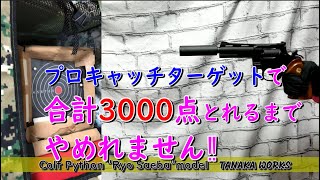 【記念企画】プロキャッチターゲットで3000点とれるまでやめれません‼‼
